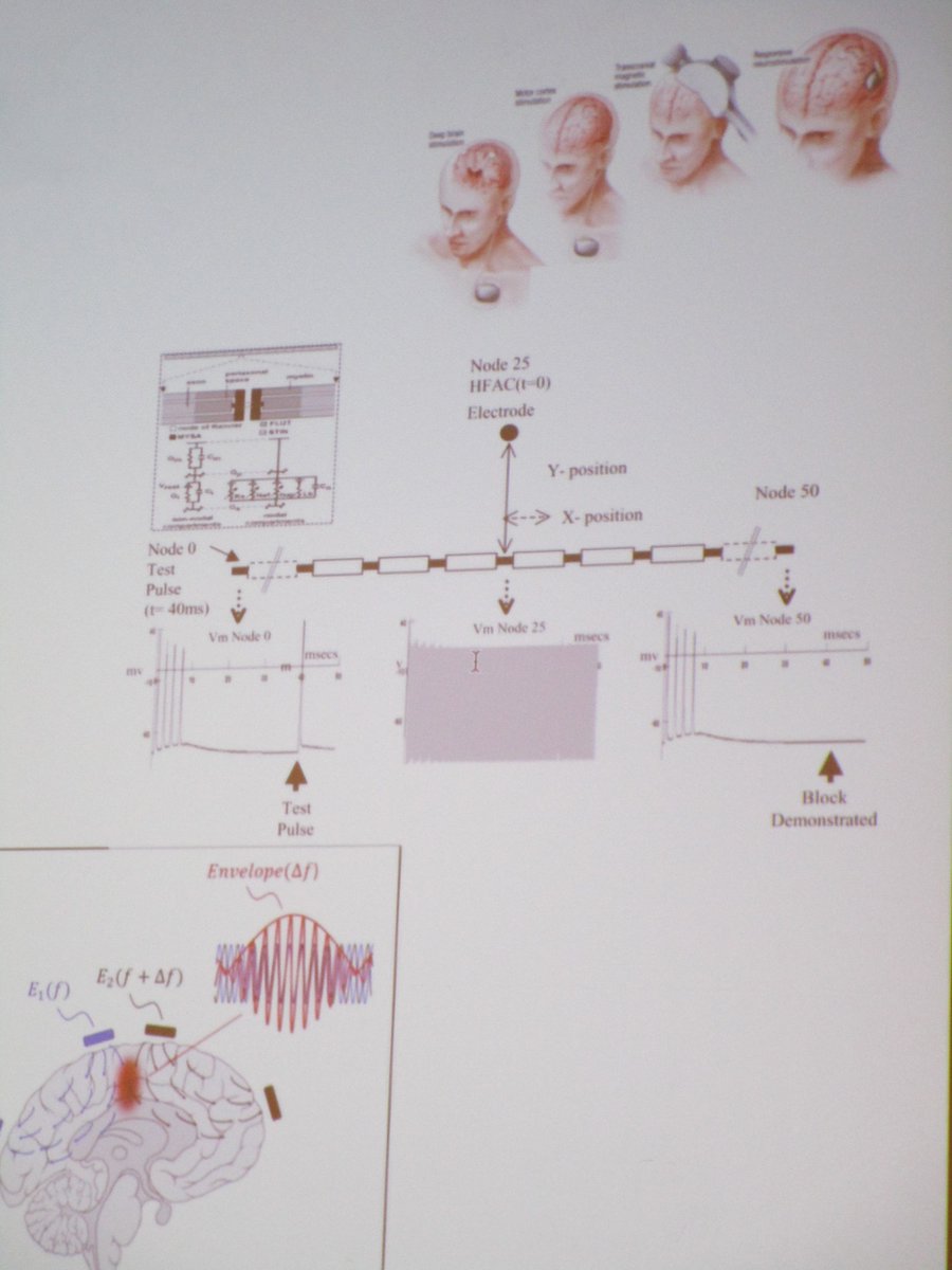 Happening now at #SIAMCT23: Eduardo Cerpa (@CerpaEdu) of <a href="/uc_chile/">UC Chile -Pontificia Universidad Católica de Chile</a> is talking about control and system theory methods in #neurostimulation, which is used to treat a variety of nervous system disorders.