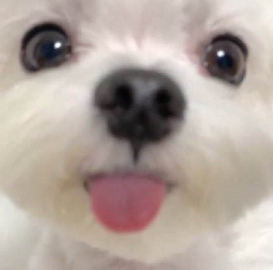 bbysookie's tweet photo. @ChibiHunter_ https://t.co/6qEG6o8f8f