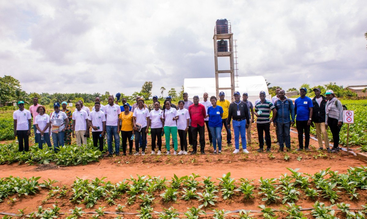 UNBenin's tweet photo. En appui aux jeunes 🚶🏾‍♂️🚶🏾‍♀️maraîchers de la #CJAA d'Abomey-Calavi, le #PADMAR a installé une serre et un système d'irrigation fait de forage, de châteaux et de bandes perforées d'irrigation.  
👉🏼 #SupervisionPadmar2023 https://t.co/YUlNV3ce6U