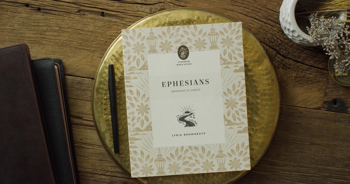 In this 10-week Bible study for women, <a href="/LydiaBrownback/">Lydia Brownback</a> explores Ephesians to encourage Christians in their walk with Christ. Readers will learn the book’s core themes and embrace the abundant riches found in Christ.

crossway.org/EphesiansFBS