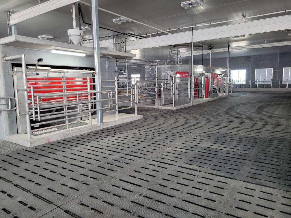 PennerFarm's tweet photo. Congratulations to Wolf Creek Colony on your new start up! Featuring Lely robots, a Maximus Controller, cross ventilation, a Mueller tank and more! Thank you for partnering with us! @DairyRobot #Lely #PennerFarmServices #WeBuildFarms https://t.co/nToeEYaF32