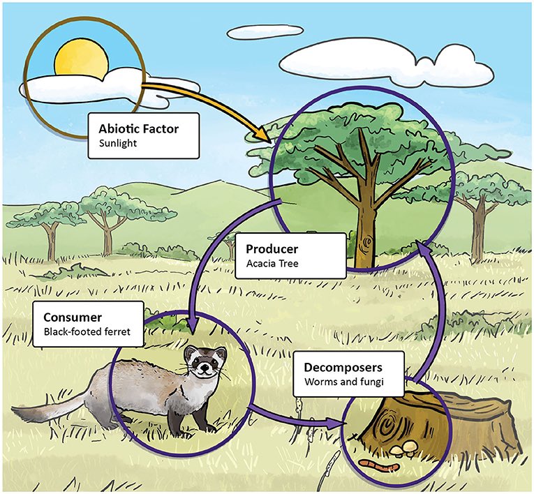 Sylvia Pinheiro, PhD tweet media
