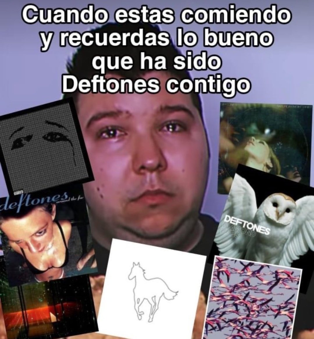 FILTERMexico's tweet photo. https://t.co/Shq0mm8ZLe