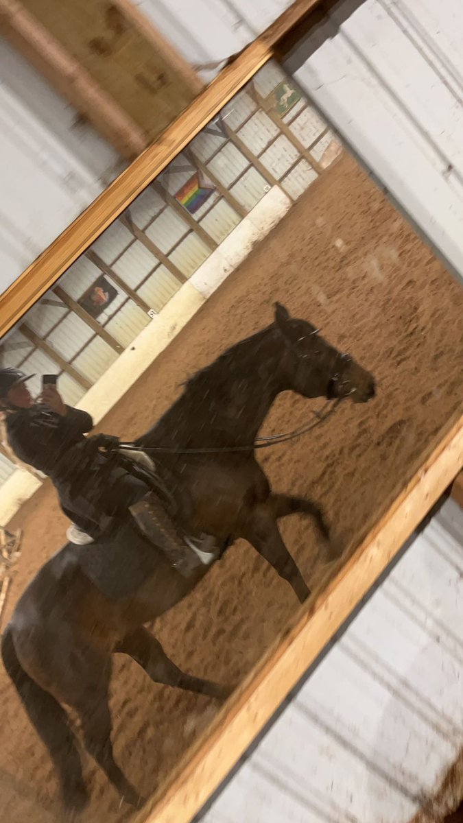 Sometimes i see mems of me riding my girl and my heart breaks. Look how cute she is