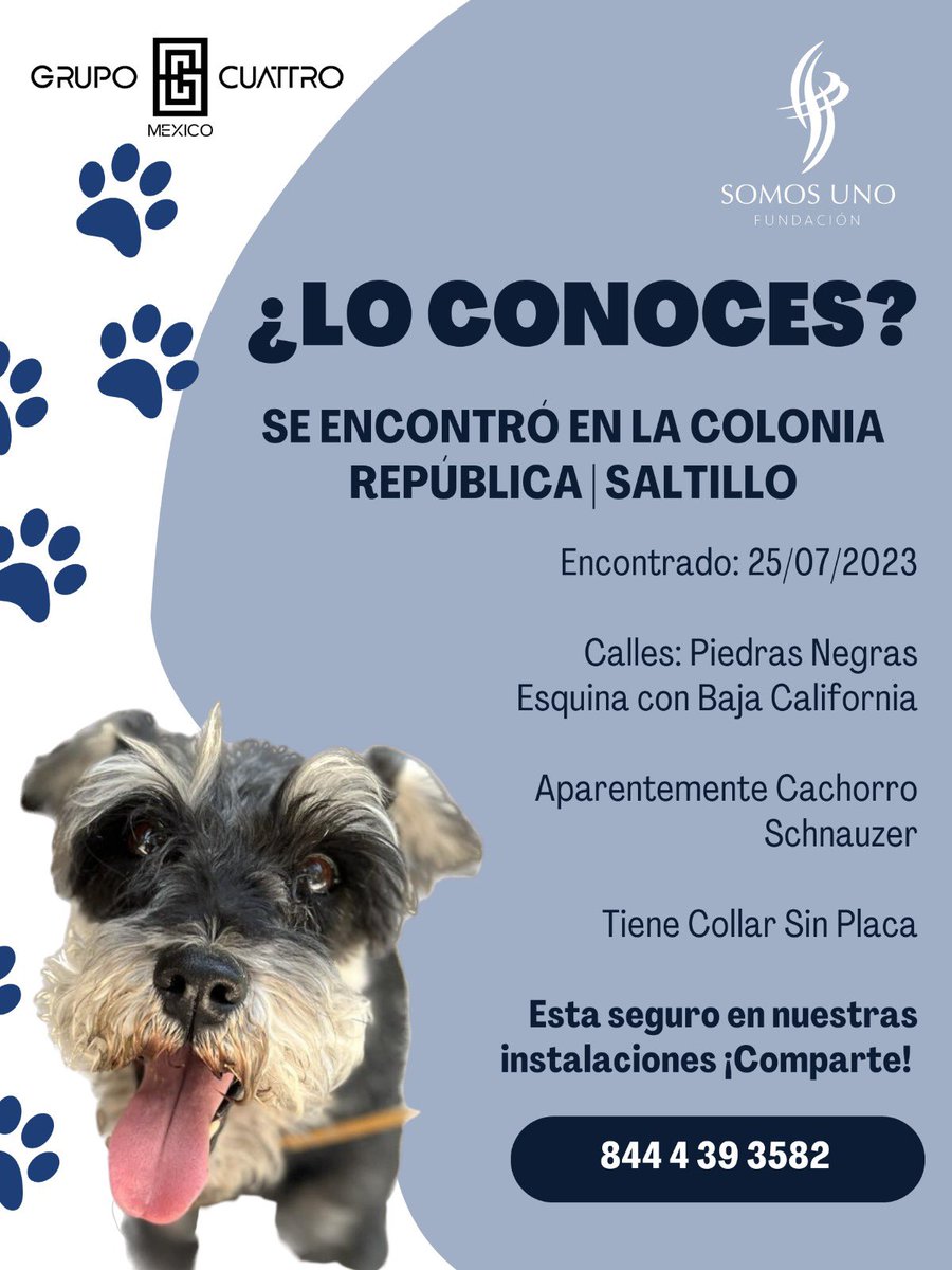 Soy Levy ® tweet media