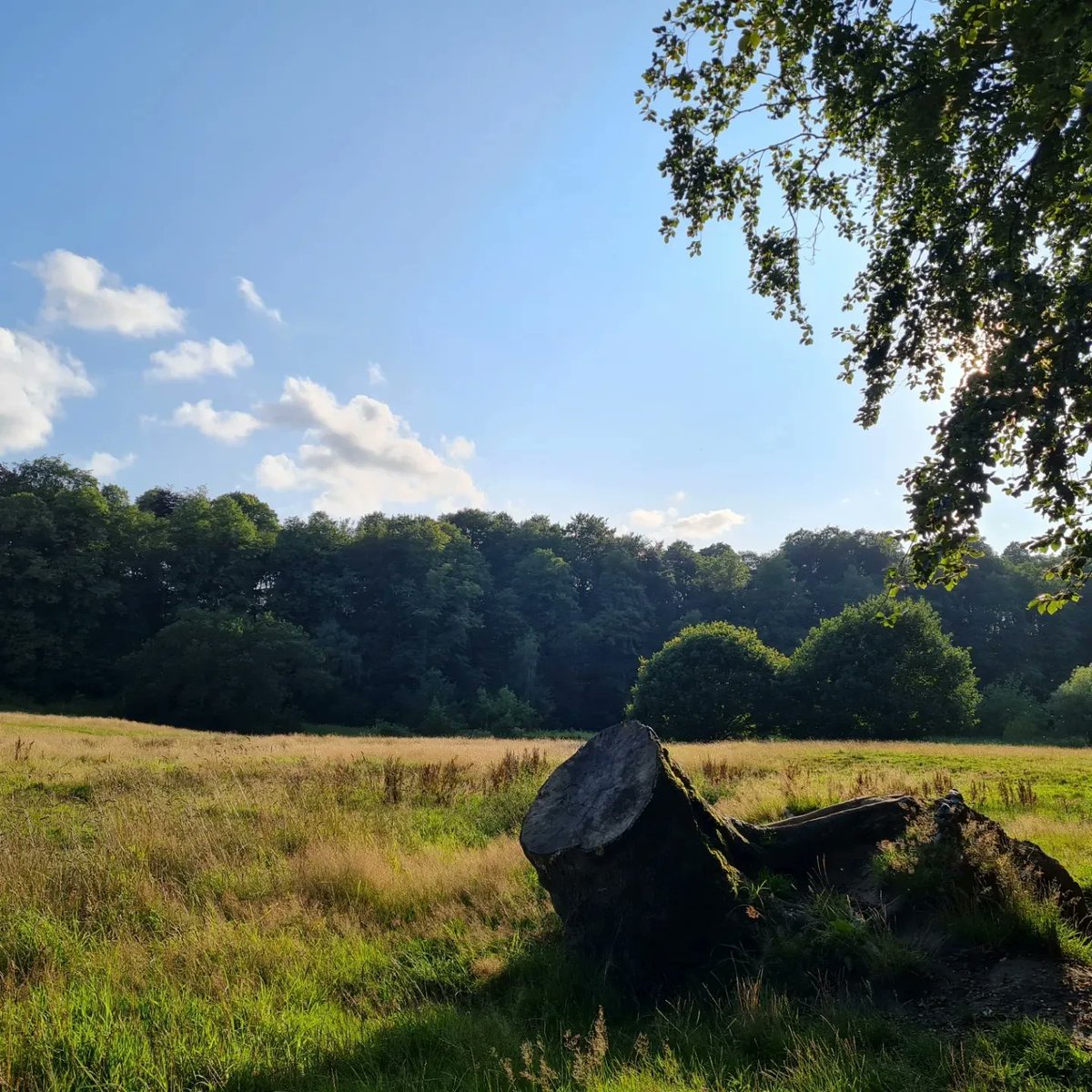 Stunning views on the run this evening. Starting the road to the next challenge on half marathon 🏃‍♀️