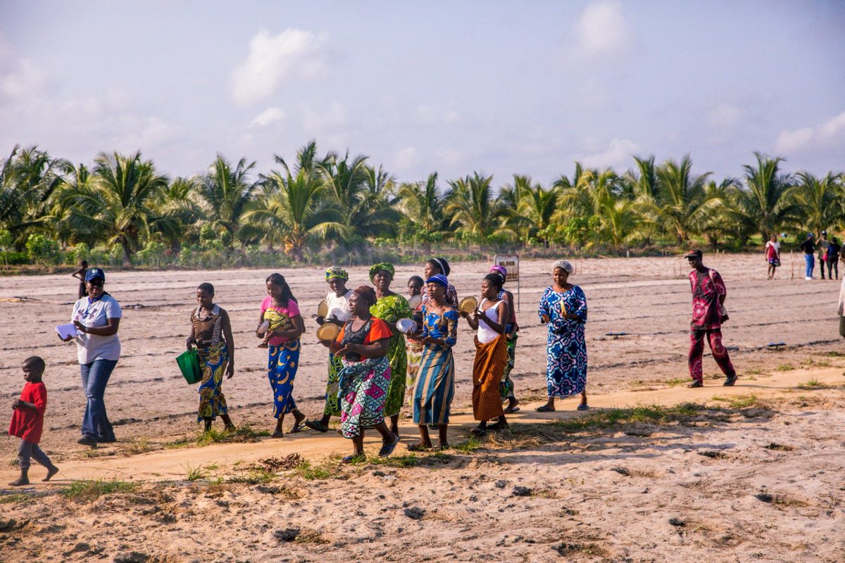 UNBenin's tweet photo. La productrice METO Pauline, présidente de la coopérative Fifonsi de Ouidah témoigne: « le #PADMAR nous a doté de motopompes, pulvérisateurs, brouettes, de petits outillages de maraîchage, de bandes perforées d’arrosage ; tout ceci a boosté la production » https://t.co/prQ2MOGmf6
