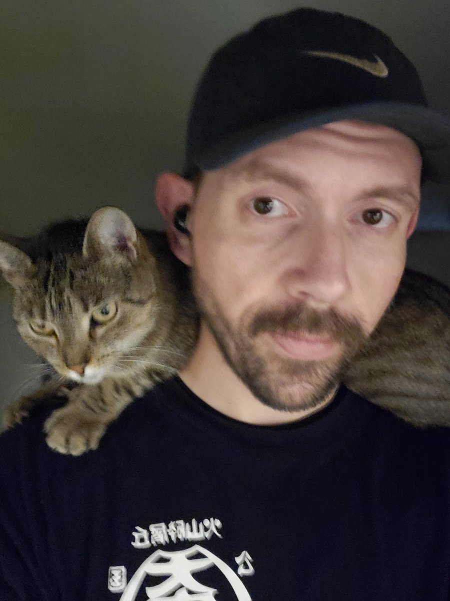 smplturnincrank's tweet photo. So my girlfriend and her cat Ponyo moved in and this account might see an influx in kitty pics. Maybe daily, idky #KittyTwitter #parrotcat https://t.co/5sfIGTJSLx