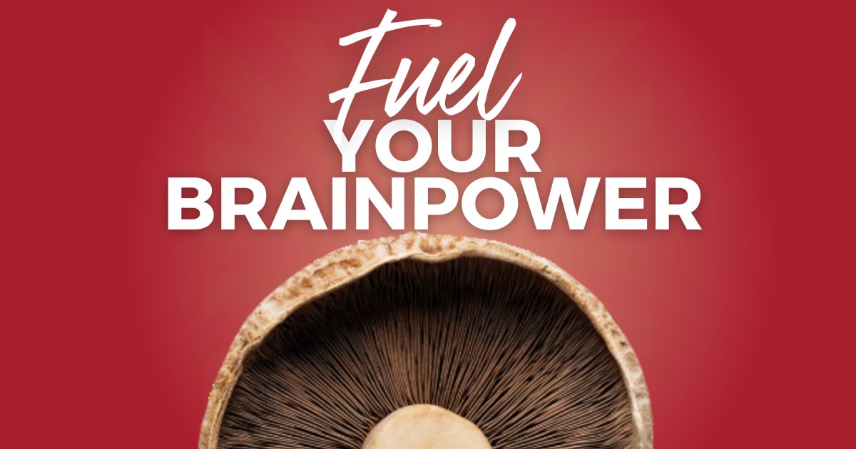 highlinemushrms's tweet image. Fuel your brainpower with #mushrooms!
Rich in vitamins B and C, they enhance #cognitivefunction, memory, and focus.
Add Highline Mushrooms to your meals for a mental boost!