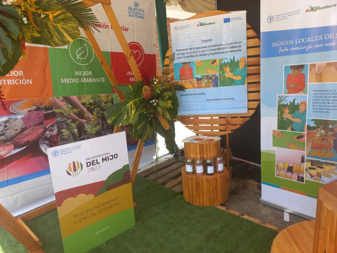 FAO_Venezuela's tweet photo. 📢@FAO_Venezuela presente en el IX Congreso Venezolano de Mejoramiento Genético y Biotecnología Agrícola #CONVEME, en San Felipe, estado Yaracuy. https://t.co/wy41DVN5V2