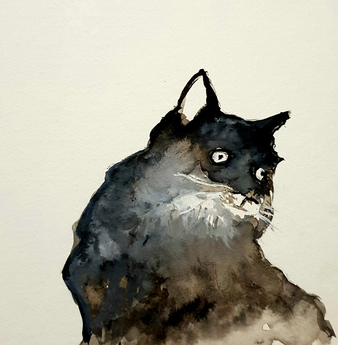 Latest artwork..
#indianinkpaintings 
#catpaintings