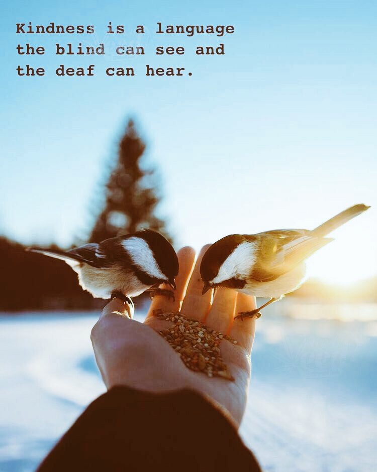 PositivitySaid's tweet photo. Let's Keep Speaking #Kindness as a  Language. ✨🥳🦋
#positivity #KindnessMatters https://t.co/CyEbURZNmB