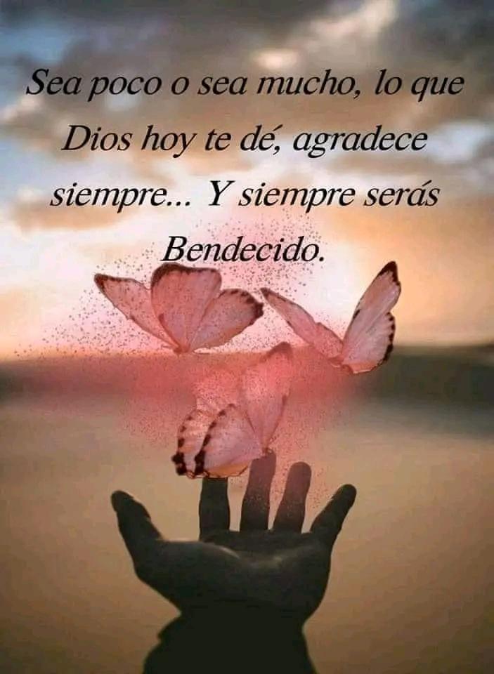 #LuchaAntiimperialista lluvia y más lluvia 🌨️🌨️🌨️ <a href="/JorlieJ/">🇻🇪Jorlie🇻🇪❣️😍💯</a> <a href="/Briggittems1/">Tuitera Juvenil 💕💞</a> <a href="/Alvarex2808/">Alvarex</a> <a href="/Solecito19011/">Solecito1901</a> <a href="/dash_help1/">Dash_Help</a> <a href="/patriaamada101/">patriaamada10</a> <a href="/luis16684716/">tuitero de Aragua</a> <a href="/ludwing_hans/">Hans Ludwing</a> @nanunsc2 <a href="/Neyda21708001/">Neyda</a> <a href="/IralisailC/">Iralisail. Carballo</a>