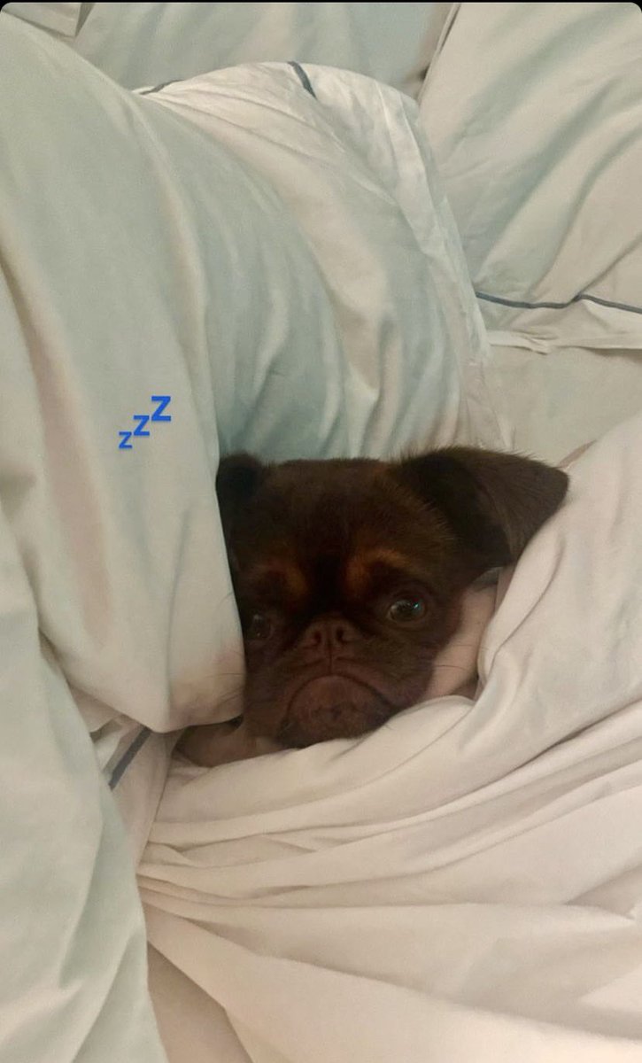 cybersygh's tweet image. It’s Tuesday