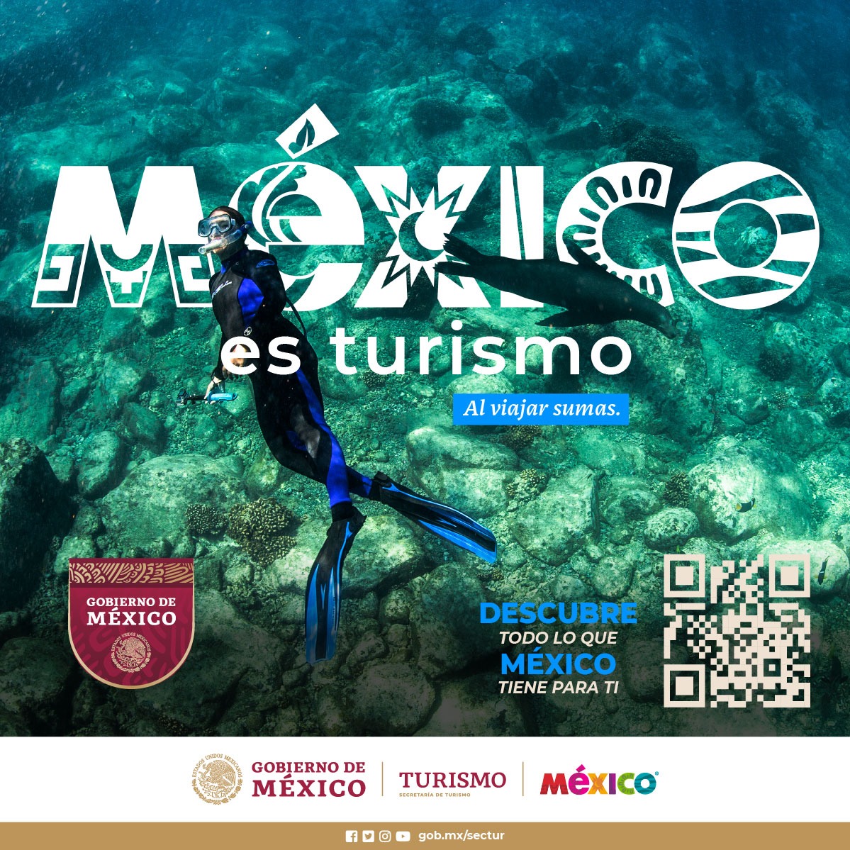 SECTUR_mx's tweet photo. ✈️🐬Si cuando viajas por #México el mar y tú son uno solo, eres parte de la cadena de valor, porque #AlViajarSumas.
🌊🌴No te pierdas las actividades que #México tiene para ti, escanea el código QR ✨ y elige el destino perfecto para activar tus sentidos. 🤩
#MéxicoEsTurismo 🇲🇽 https://t.co/ORGRNELkO5