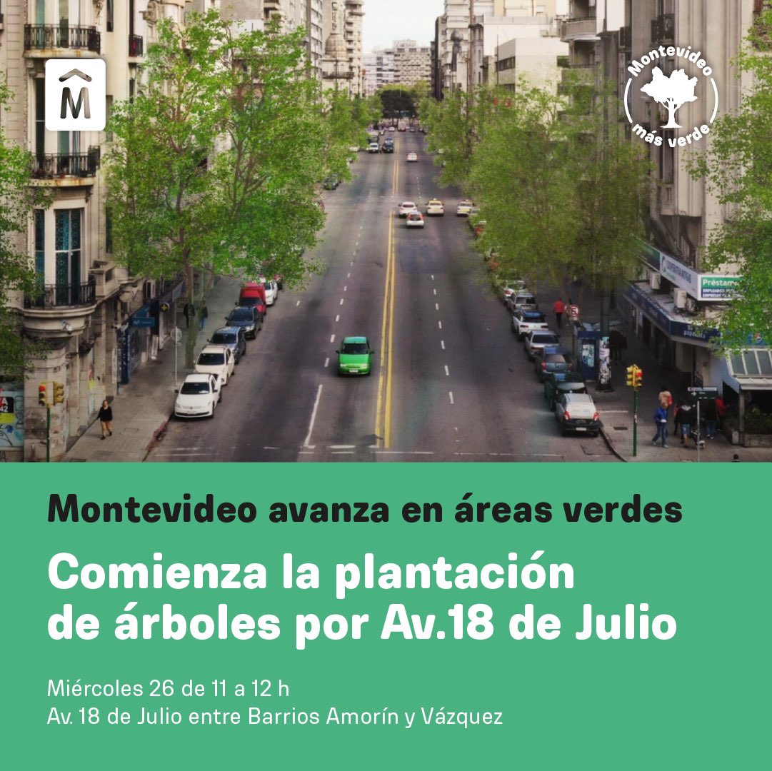 CosseCarolina's tweet photo. Mañana comenzamos a plantar árboles en 18 de Julio. Una medida, entre varias, que estamos llevando adelante para mejorar nuestra principal avenida. Serán 150 ejemplares entre estas especies: Tilo, Jacarandá e Ibirapitá. En esta etapa se abarcarán 2,5 km.
#MontevideoMásVerde 🌳 https://t.co/b8YEiPHKkh