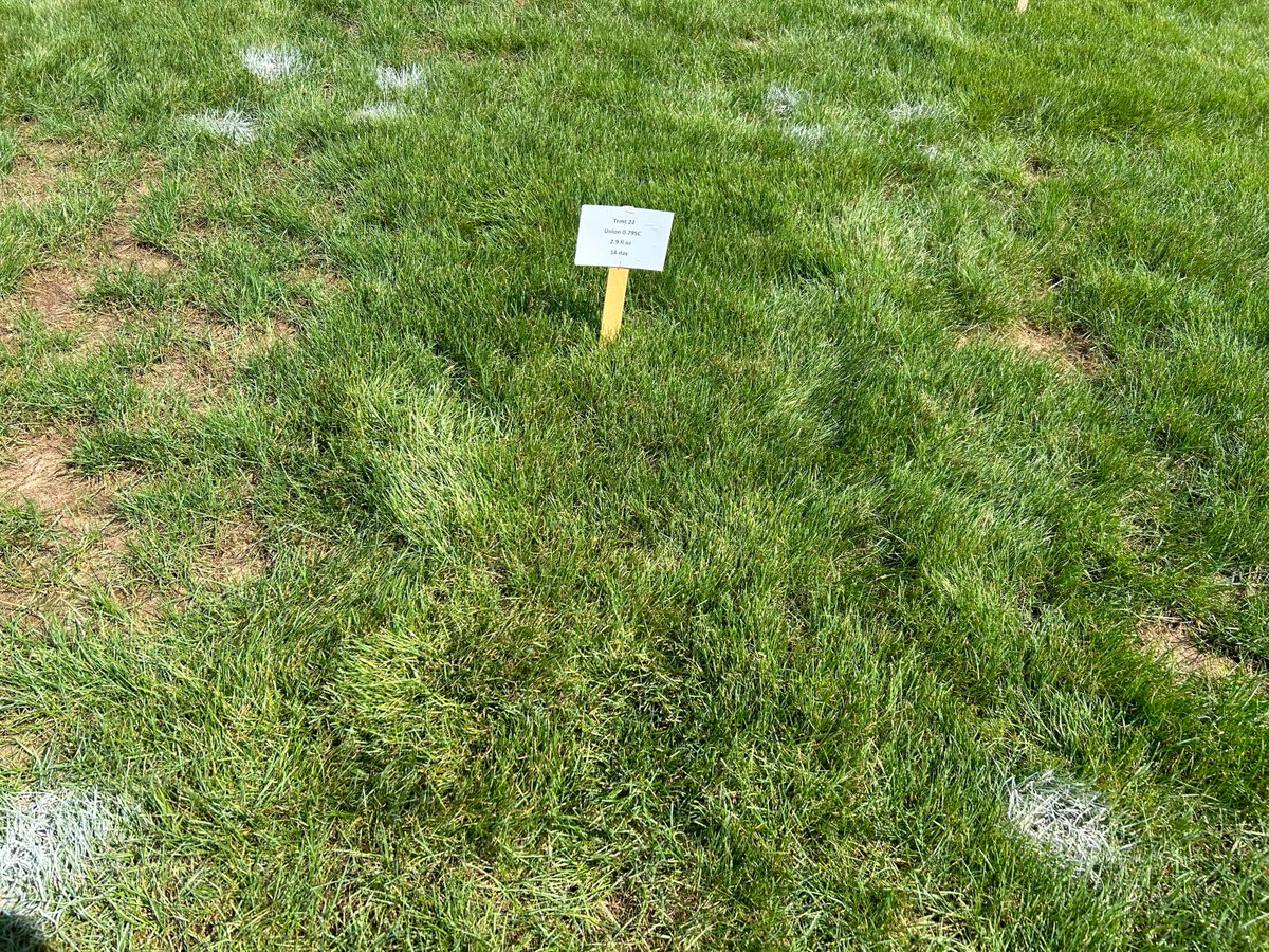 PBI-Gordon Turf tweet media