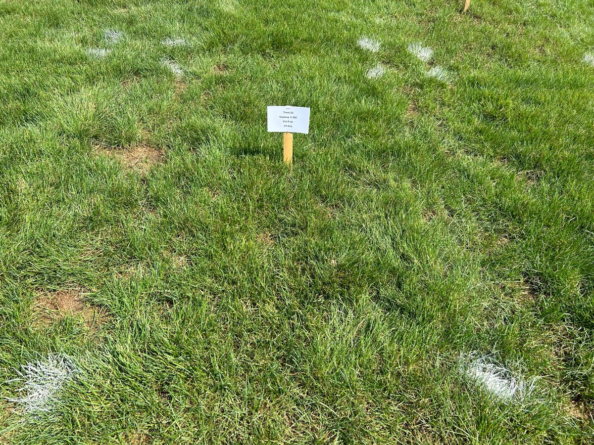 PBI-Gordon Turf tweet media