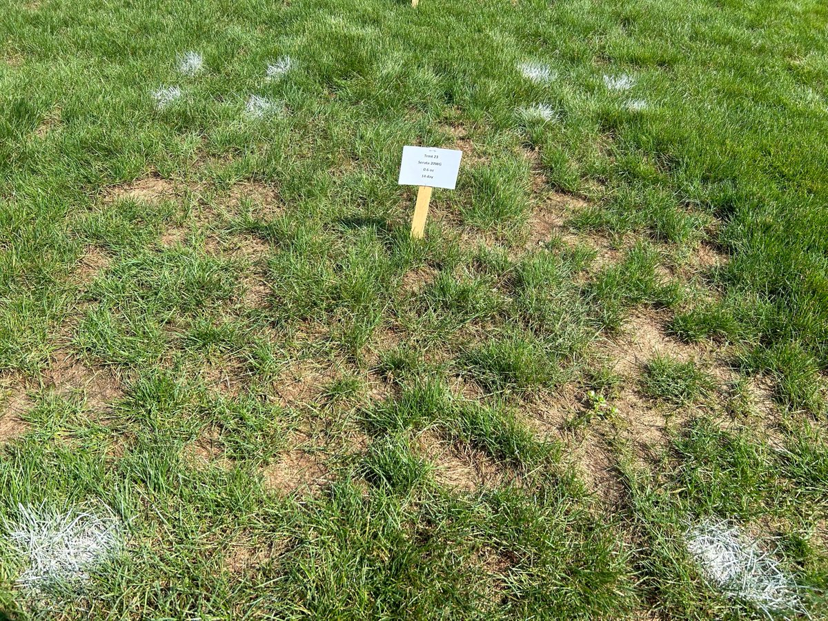 PBI-Gordon Turf tweet media