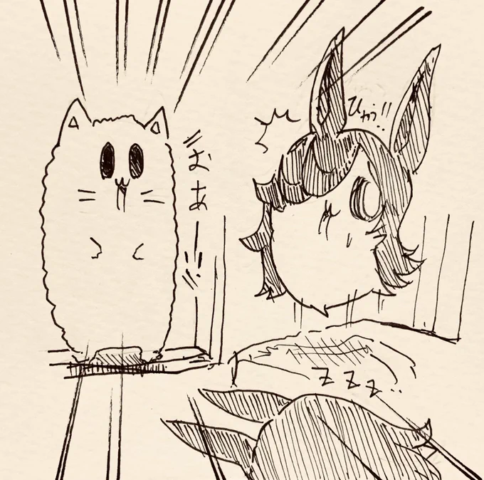 もち猫さんの起こし方にビビる半ライス