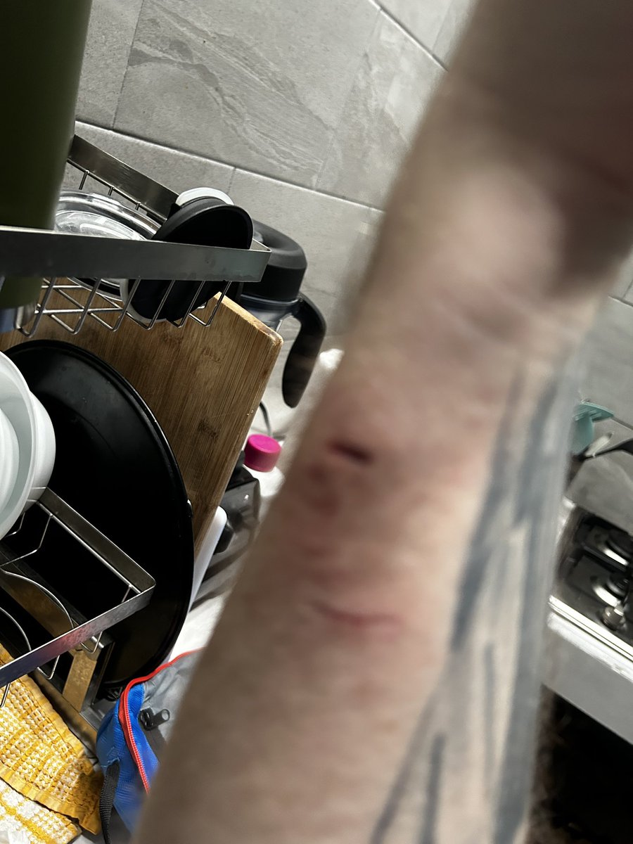 Séamus Bellamy tweet media