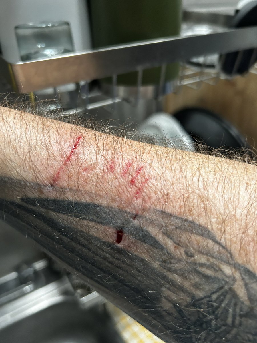 Séamus Bellamy tweet media