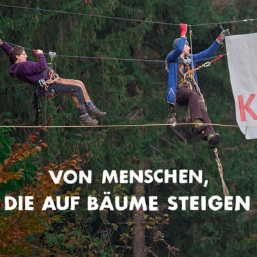 Sharepic zum Film zeigt zwei Menschen auf einer Traverse im Wald.