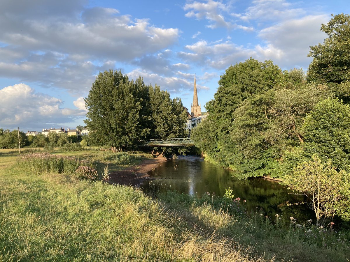 🌼🌿🌷 tweet media