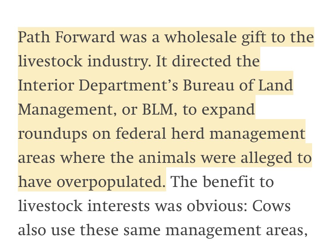 organnajoanna's tweet image. End funds for BLM Path Forward @POTUS #savewildhorses