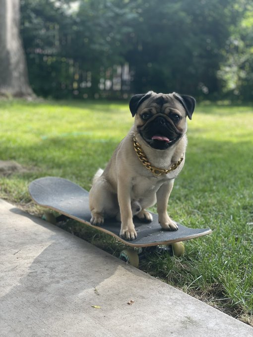 My son weighs 15.7 lbs now https://t.co/wgImItxSKR<a href="/tag/gag"class="tags"><span>#gag</span></a><a href="/tag/slut"class="tags"><span>#slut</span></a><a href="/tag/blowjob"class="tags"><span>#blowjob</span></a><a href="/tag/exhibitionist"class="tags"><span>#exhibitionist</span></a><a href="/tag/sloppyhead"class="tags"><span>#sloppyhead</span></a>