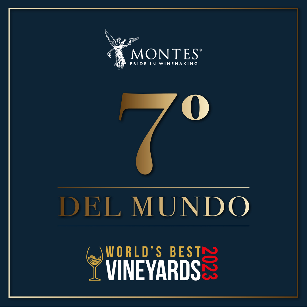 Viña Montes Chile (@vinosmontes) on Twitter photo ¡Nuevamente en el Top 10 de las mejores viñas del mundo!🌍🏆🍇
Estamos muy orgullosos de compartir con ustedes que, por quinto año consecutivo, hemos sido reconocidos en el prestigioso ranking <a href="/wbestvineyards/">worldsbestvineyards</a> ¡Nuevamente en el Top 10 de las mejores viñas del mundo!🌍🏆🍇
Estamos muy orgullosos de compartir con ustedes que, por quinto año consecutivo, hemos sido reconocidos en el prestigioso ranking <a href="/wbestvineyards/">worldsbestvineyards</a>