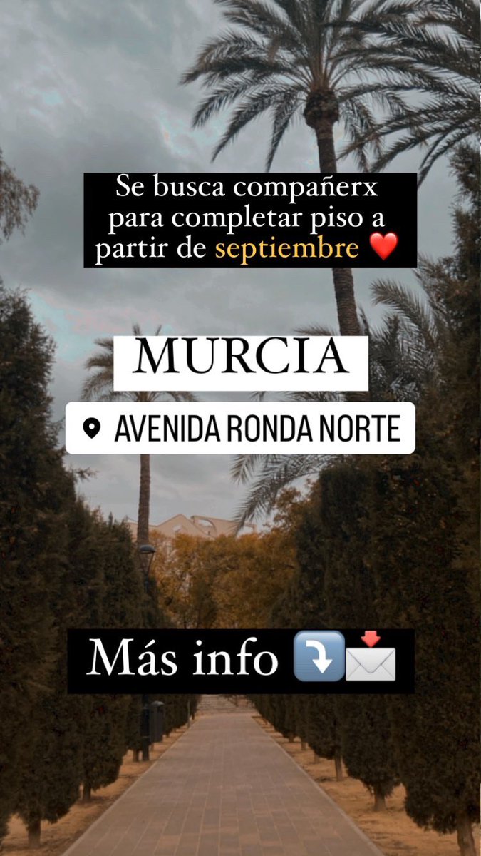 Ana Gómez Regueiro tweet media
