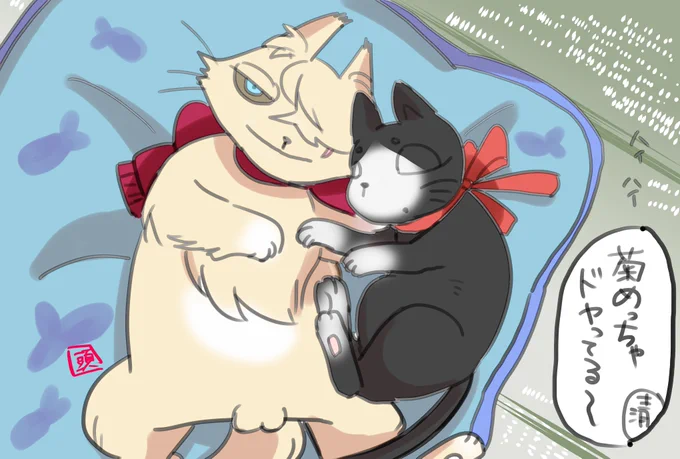 今日も暑くなりそうですね……涼むネコチャン則清をお納めください