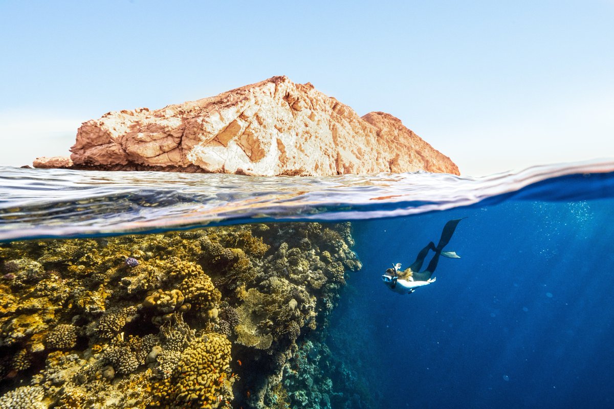 grayson_merrick's tweet photo. @DishonorDawn help me explore the ocean! https://t.co/Uct48YUbxr