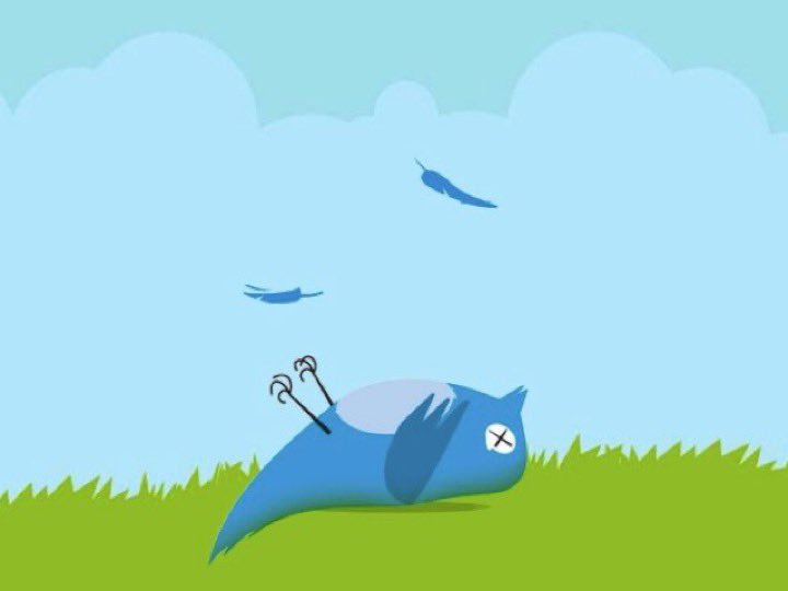 JoAnn Hummel (@joannhummel) on Twitter photo 