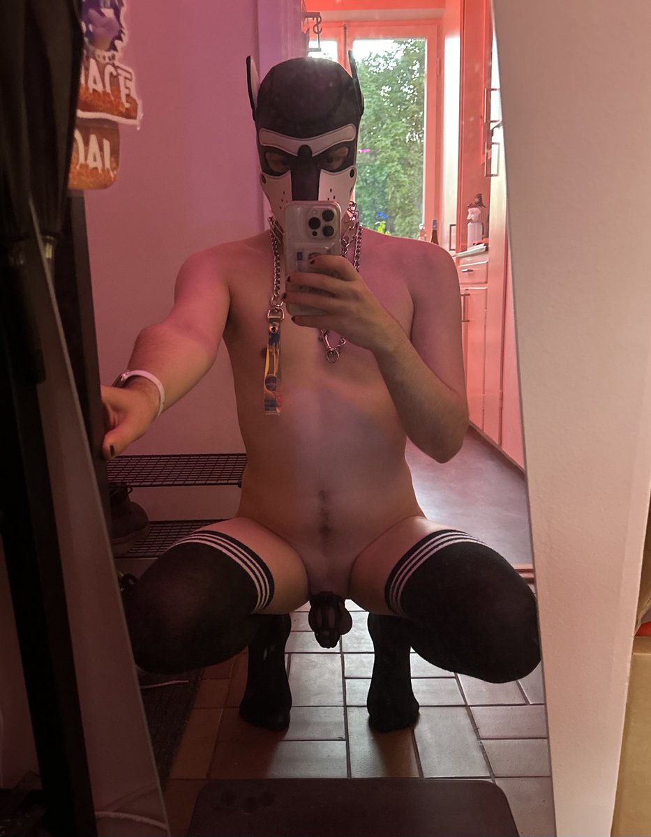Jacehole's tweet photo. pup to no good 😈 https://t.co/10O8yKcxUc