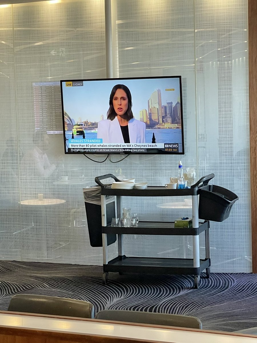 asthasingh's tweet image. First thing that pops up on the @VirginAustralia @SydneyAirport screens while heading to the @wildforstem 2023 Retreat to Queensland is this! Go @VanessaPirotta and thanks for all your work &amp;amp; support with #diversityinstem 
Can’t wait to meet the @wildforstem cohort for this year