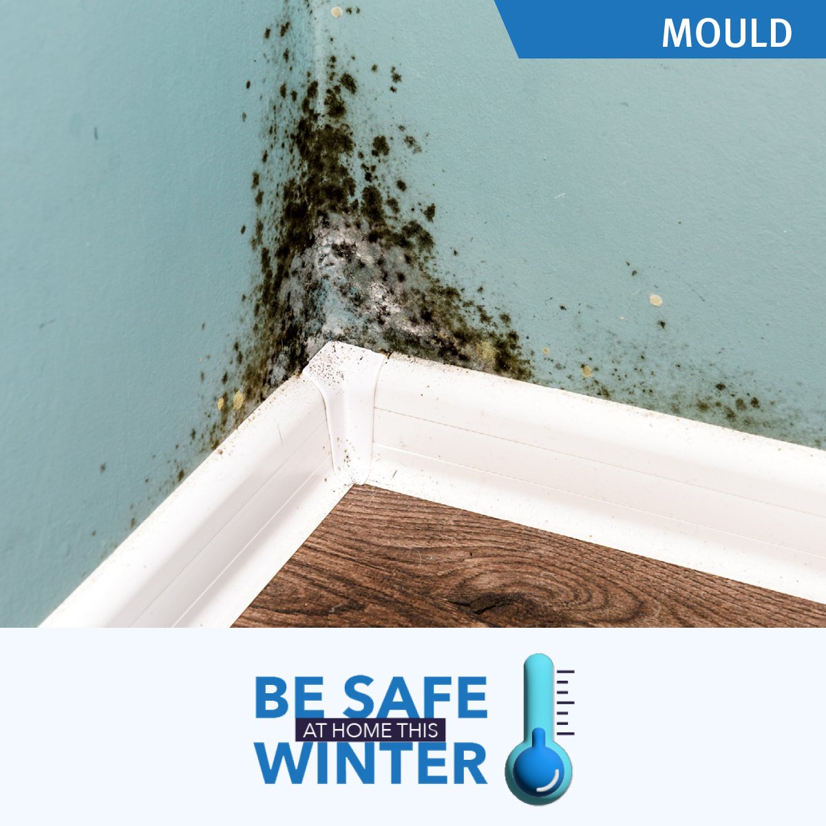 Your home is more prone to mould in winter and this can trigger respiratory issues. To prevent mould ventilate your home.

Clean up mould by scrubbing with soapy water or vinegar and dry the item.

See more winter safety tips: productsafety.gov.au/wellwinter

#WinterSafety
