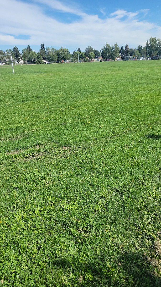 candice_steph's tweet photo. @yeg not cutting grass. Can't even enjoy the fields. All of them were long @AmarjeetSohiYEG https://t.co/77sJ5dekJc