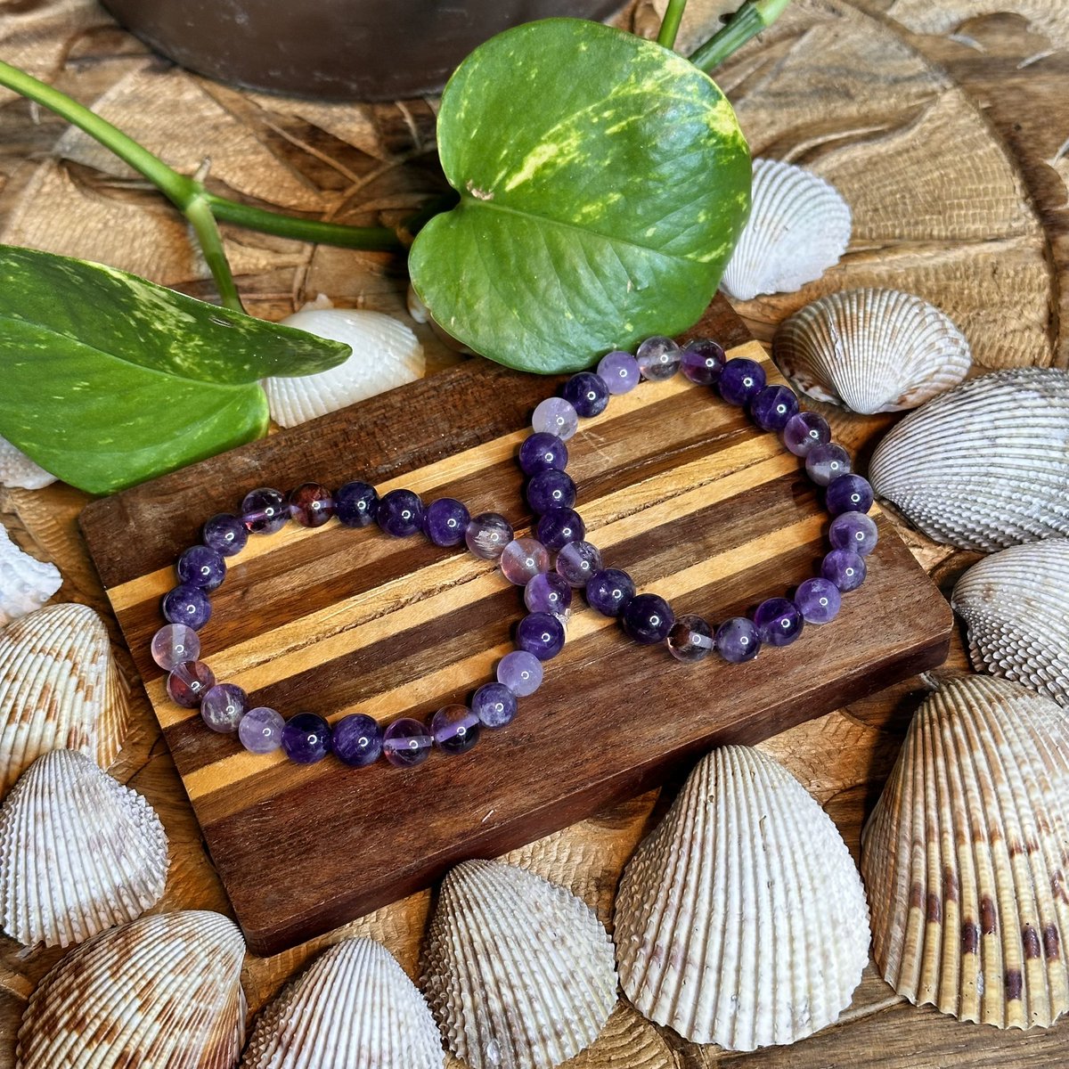 SOLMARVIDA tweet media