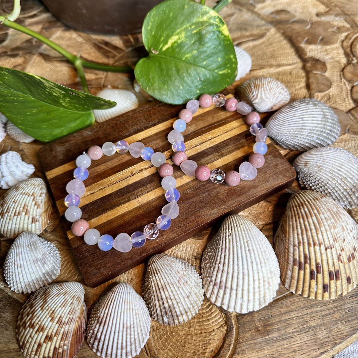 SOLMARVIDA tweet media