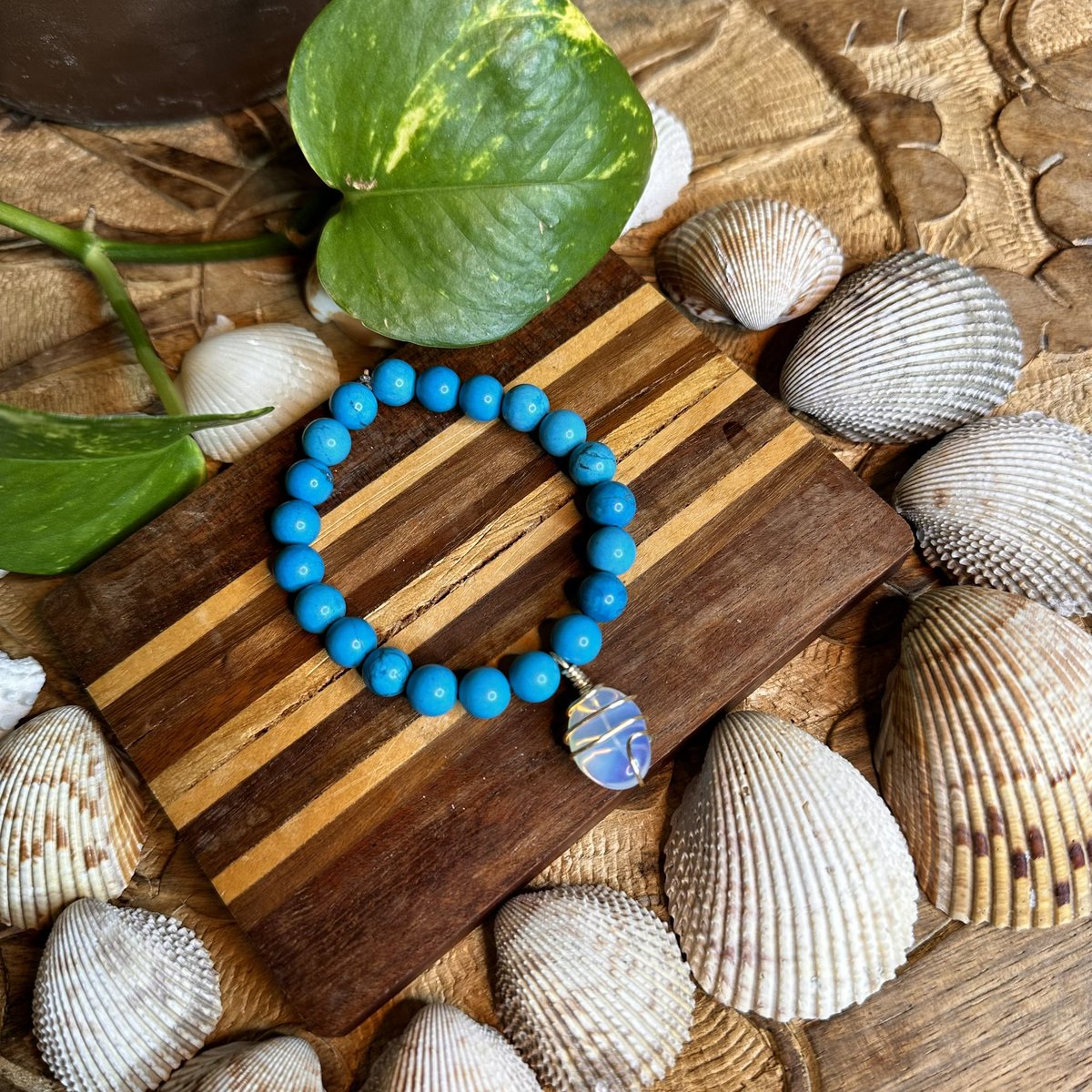 SOLMARVIDA tweet media