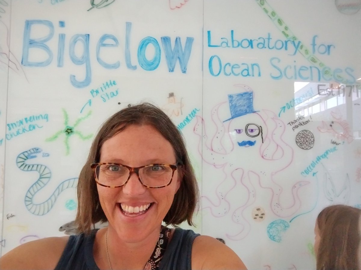 EnvroPhysProf's tweet photo. Loved hearing about all the great #ScienceEd opportunities at @BigelowLab #cafesci tonight! https://t.co/WQZ7YhvkSH