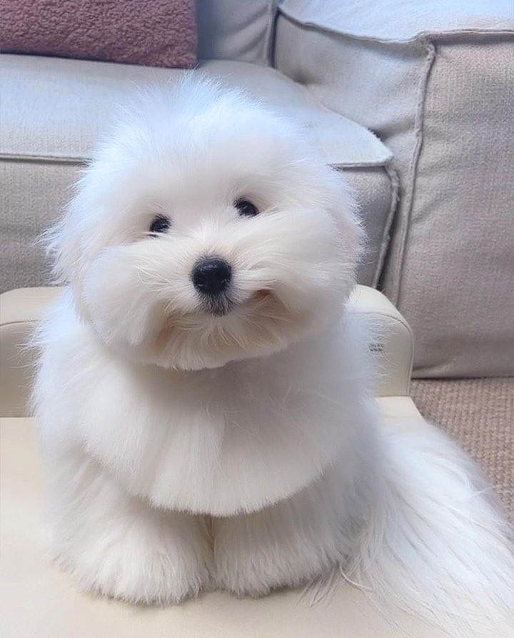 This is Crayon. He doesn't know what you're doing. Or anything that is happening. But he believes in you. 12/10