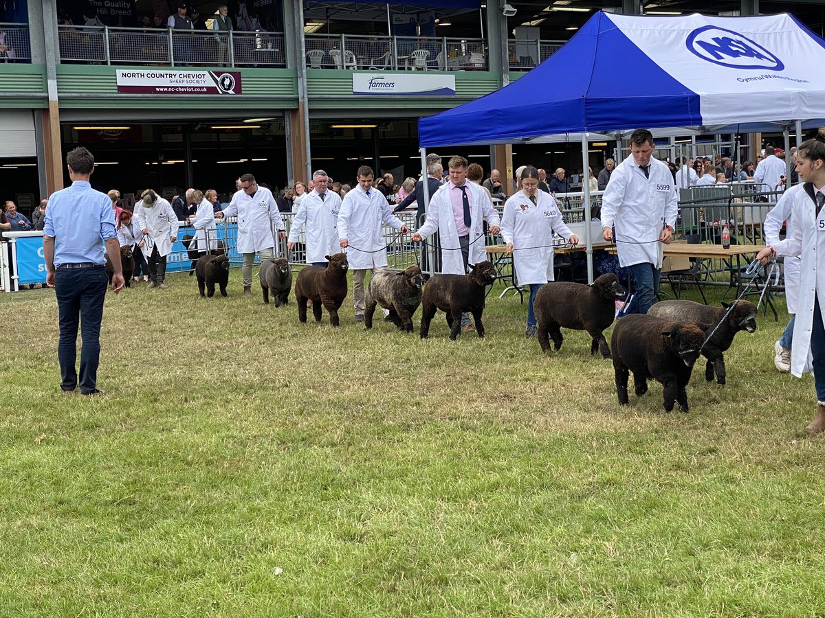 FinancePennant's tweet photo. Nice to be out of the office for a couple of days networking at @royalwelshshow https://t.co/O0P0ar5VhJ