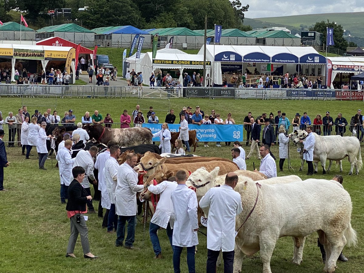 FinancePennant's tweet photo. Nice to be out of the office for a couple of days networking at @royalwelshshow https://t.co/O0P0ar5VhJ