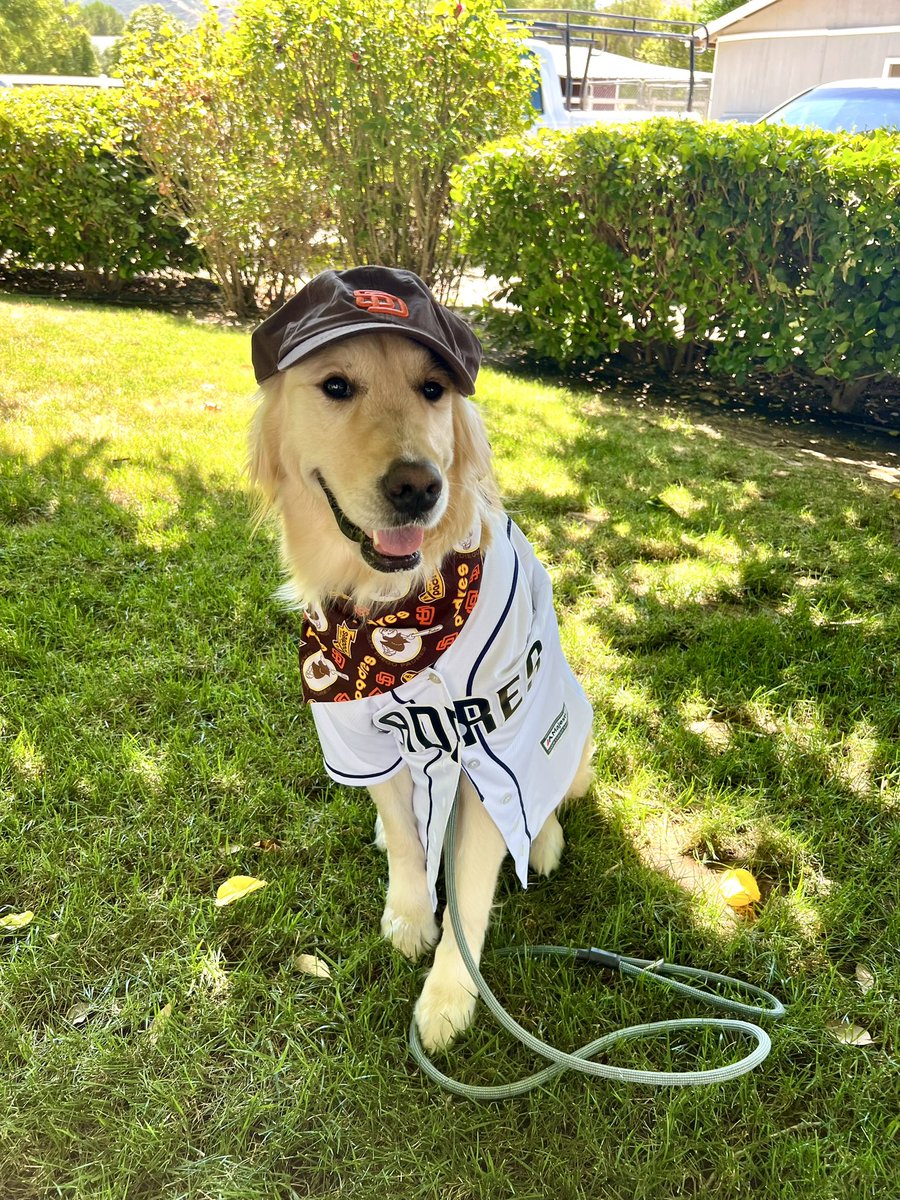 Canine_Support's tweet photo. Bear is so excited for our upcoming booth at the 7/28 @Padres game! 
We invite everyone to stop by and say hello! 🐶❤️🐾 https://t.co/SppFCXau4q