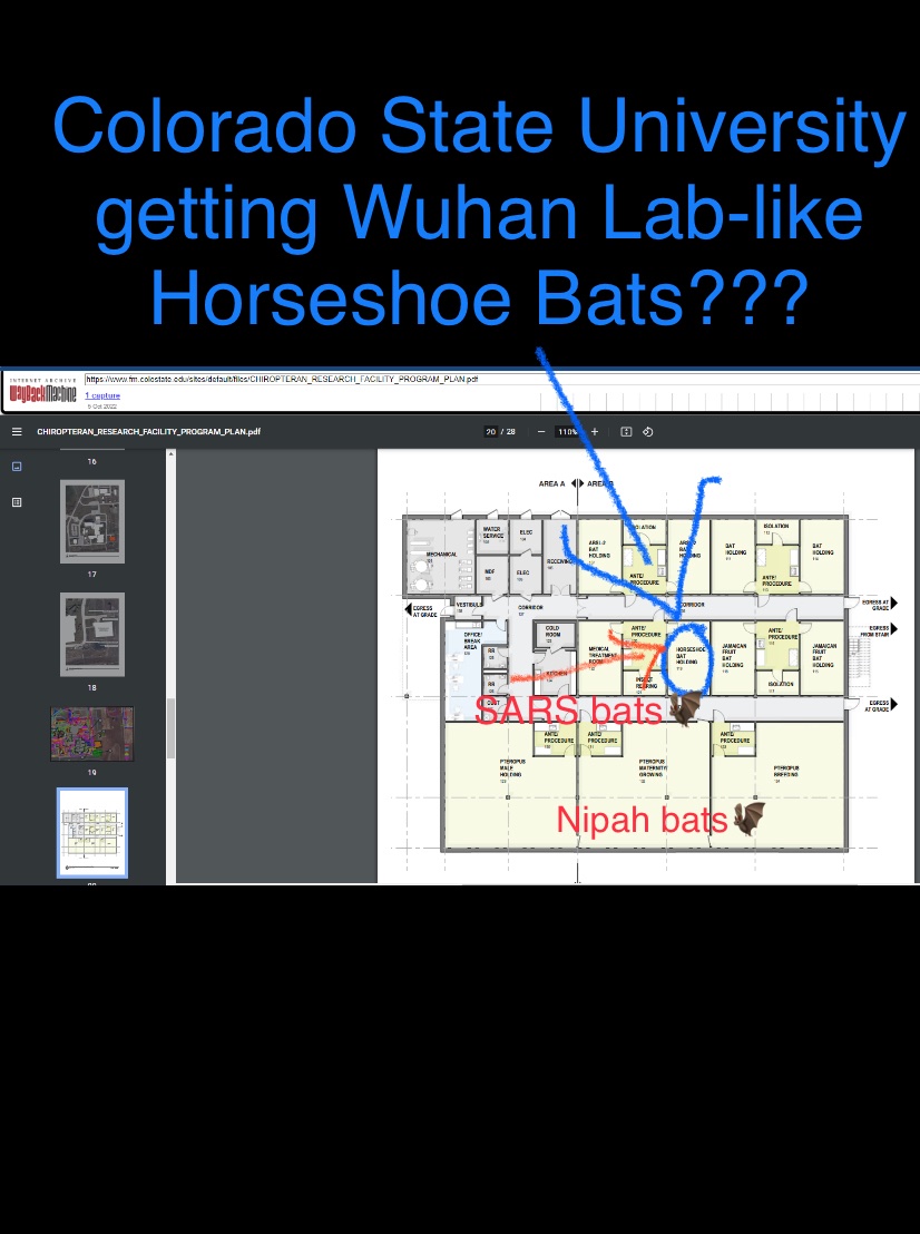 restonvirus's tweet photo. @CBSNewsColorado CSU deleted its NIH-funded bat facility plan from its website:
https://t.co/wzNfoUBQjI
But you can type the link into Internet Archives & see the plan includes a holding room for bats like the Wuhan Lab studied. (EcoHealth’s Jon Epstein’s plan!👀)
https://t.co/mRoxl46amD https://t.co/FOEwesSvFD