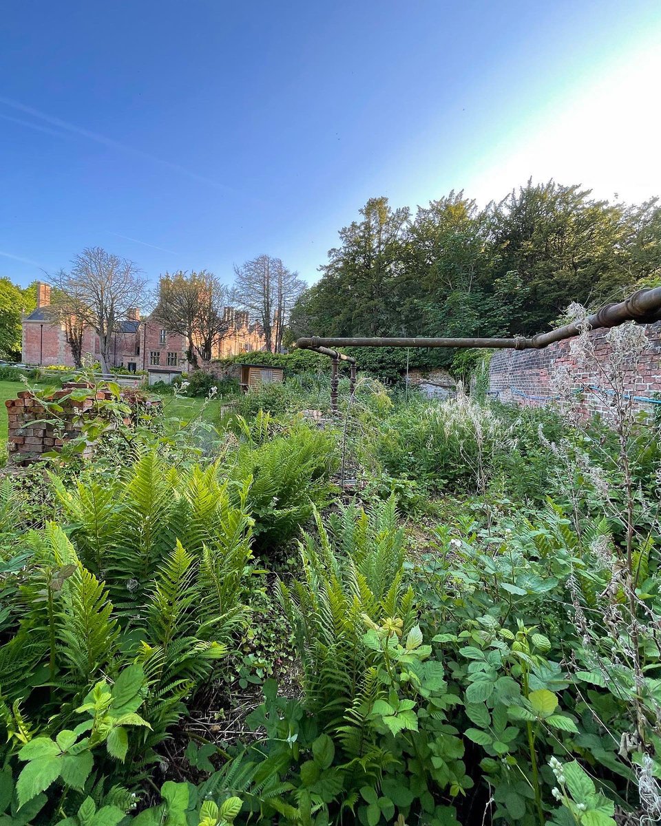 bank_hall's tweet photo. #volunteerwithus #volunteering #lancashire #bankhallbretherton #walledgarden #gardenrestoration 
Come and help us with our next project! https://t.co/T6d2d59wVV
