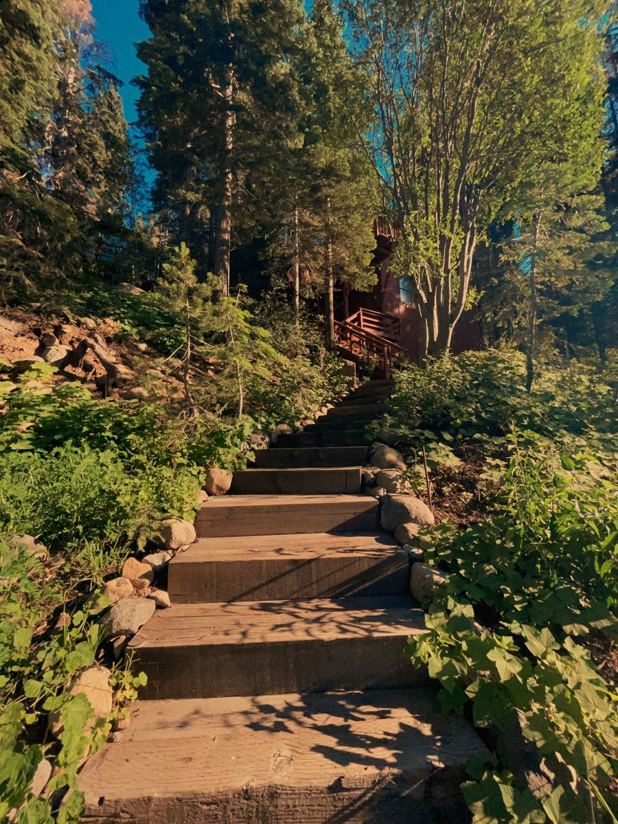 tdsepsilon's tweet photo. Shot Kodak gold 200 film profile ποΈ while at Donner lake #36expapp https://t.co/gfQeBWMtjZ